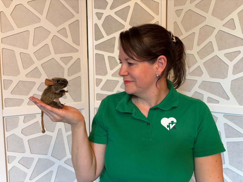 Kinesiologin Kathrin Senn für Kinder