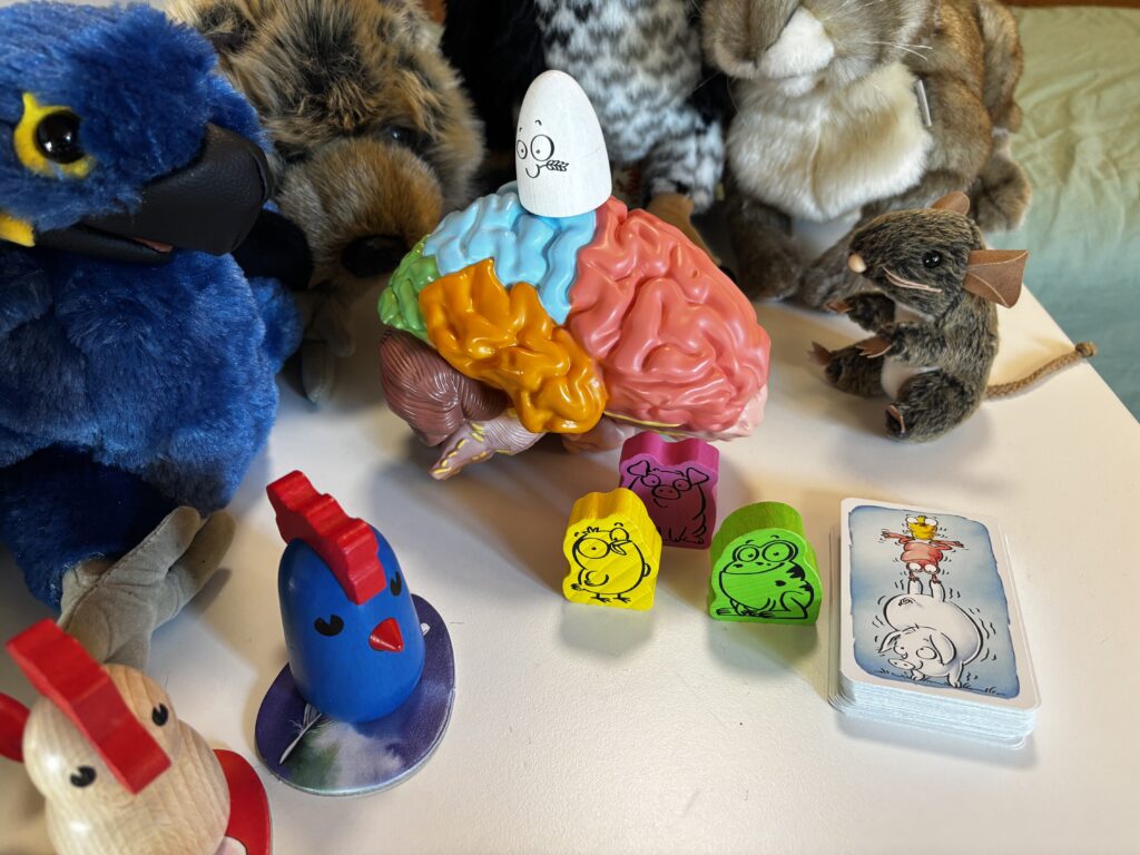 Gehirnmodell, Lernspiele und Spielfiguren veranschaulichen spielerisch die Förderung von exekutiven Funktionen, Aufmerksamkeit und Lernen bei Kindern.